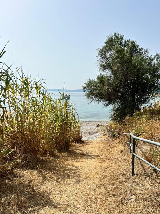 Lithino Apartments - 5Min From The Beach Agios Ioannis Peristeron  Exterior photo
