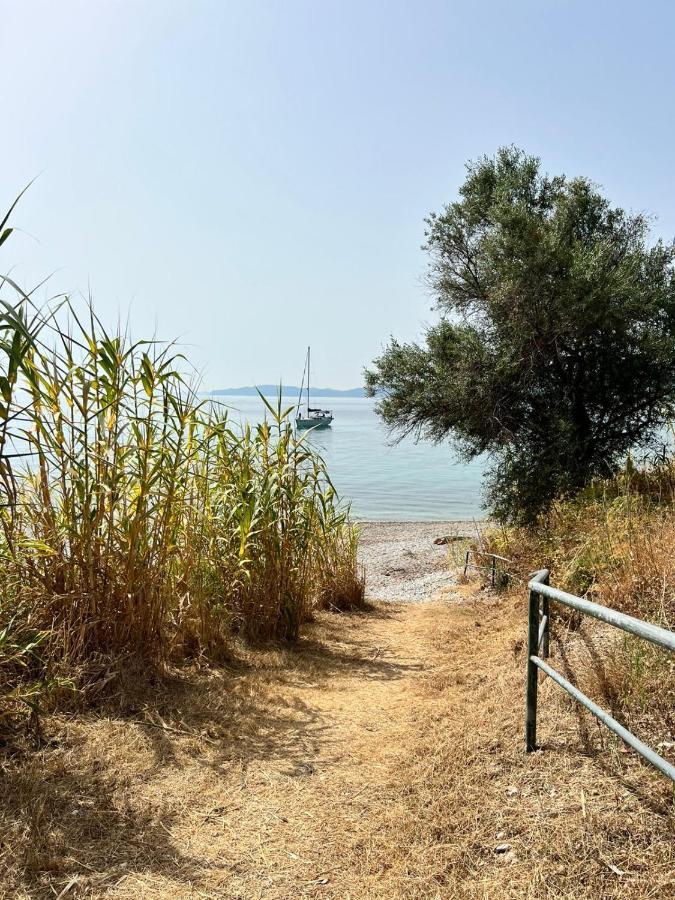 Lithino Apartments - 5Min From The Beach Agios Ioannis Peristeron  Exterior photo