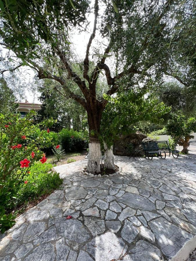 Lithino Apartments - 5Min From The Beach Agios Ioannis Peristeron  Exterior photo